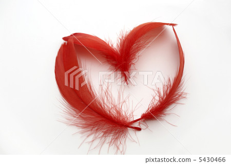 Heart feathers 5430466