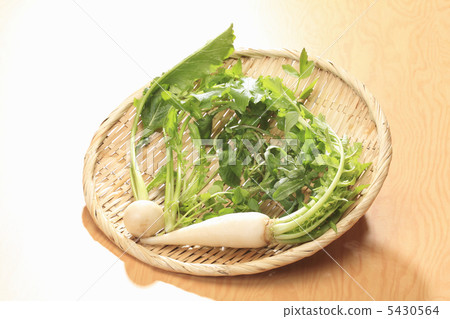 七種春天的草藥 5430564