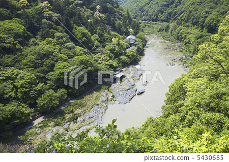 新鮮的綠色Hozu峽谷 5430685