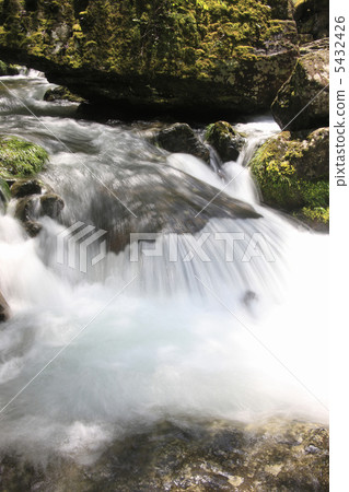 紅眼Shintaku-taki山谷 紅眼Shintaku-taki山谷 5432426