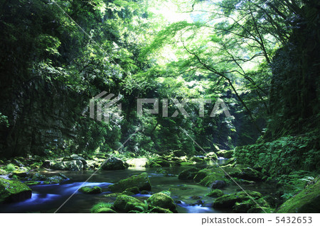 Red-eye Shintaku-taki Valley Red-eye Shintaku-taki Valley 5432653