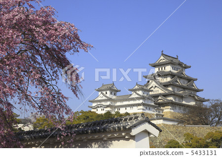 姬路城堡 5433131