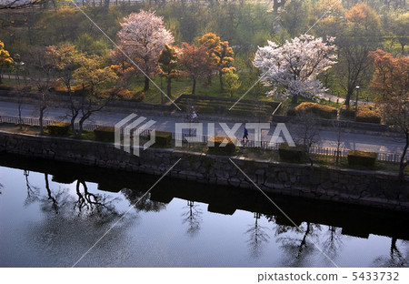 Horike和Sakura Horike和Sakura 5433732