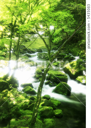 紅眼Shintaku-taki山谷 5435083