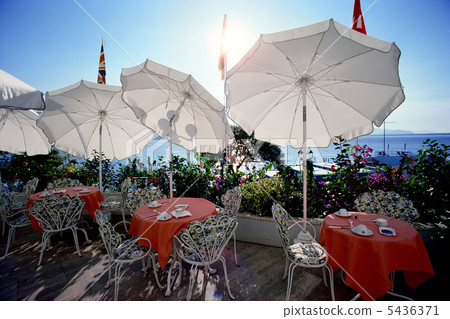 Umbrella Umbrella 5436371