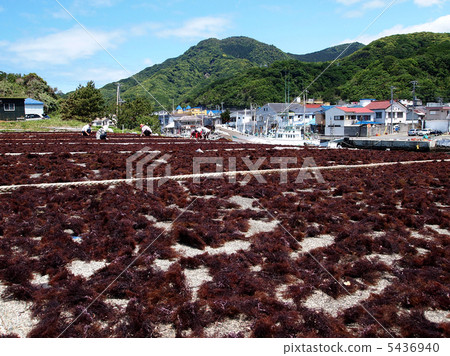 Amakusa dried landscape of Nishi Izu Amakusa dried landscape of Nishi Izu 5436940