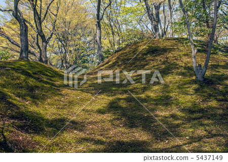 森洞故宮 5437149