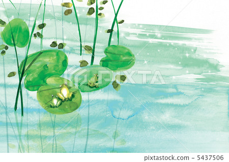 lotus leaf, frog, frogs 5437506