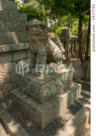 阿奇神社石頭守護者的悲慘階段 阿奇神社石頭守護者的悲慘階段 5437749