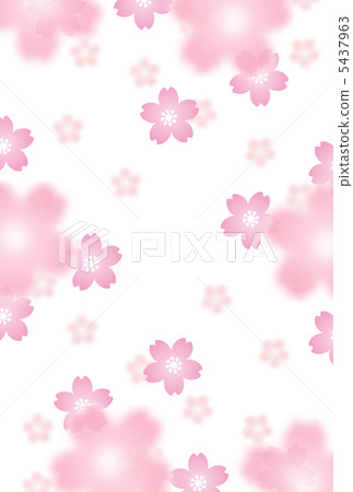 櫻桃樹 5437963