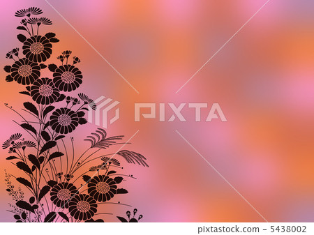 Graphic pattern 5438002