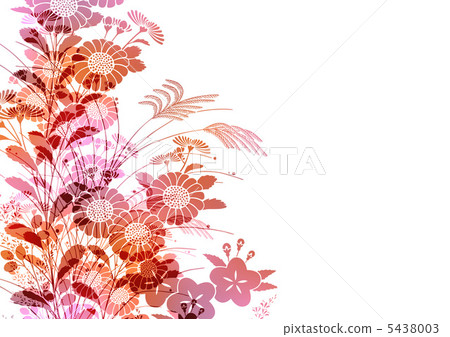 Graphic pattern 5438003