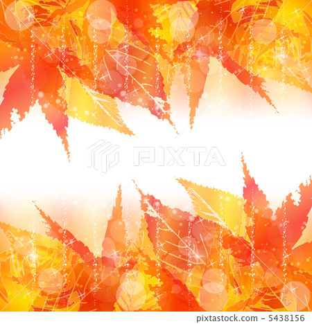 Autumn leaves maple background Autumn leaves maple background 5438156