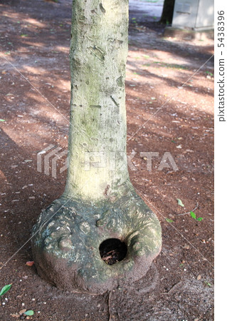 Peace Park 5438396