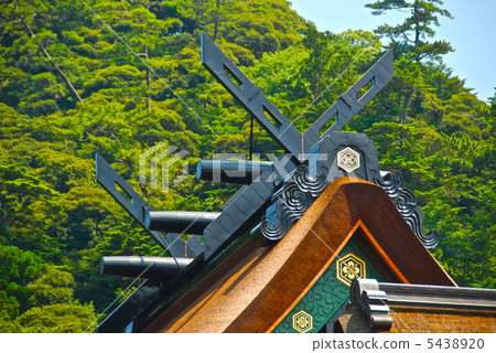 New roof of Izumo Taisha / main shrine (chan-painted) (Taisha-cho, Izumo City, Shimane Prefecture) 5438920