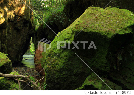 Tarumae Gallo 5438973