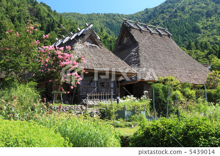 Satomi mountain scenery 5439014