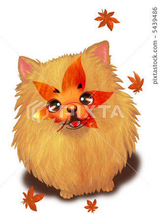 博美犬和秋天的落葉 5439486