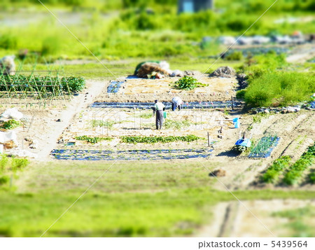 Farm work Farm work 5439564