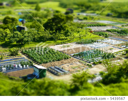 Country landscape 5439567