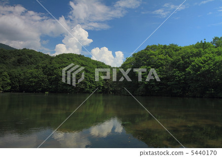 曲澤沼澤 5440170