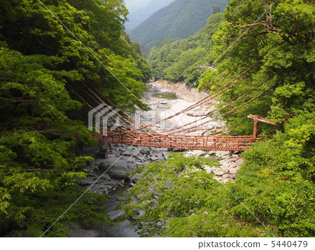Kazura Bridge 5440479