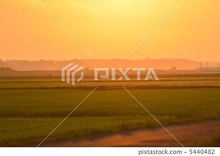 夏天日落 夏天日落 5440482