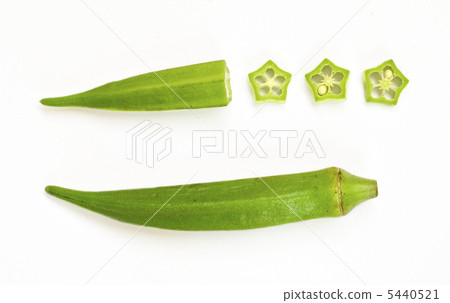 Okra 5440521