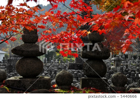 京都嵐山Asadinokuni佛寺 京都嵐山Asadinokuni佛寺 5440666