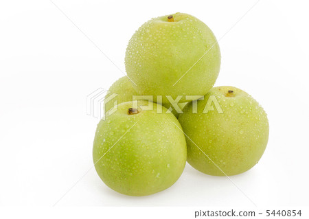 二十世紀的梨打樁 5440854