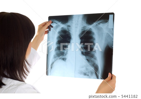 Female doctor looking at x-ray image on white 5441182