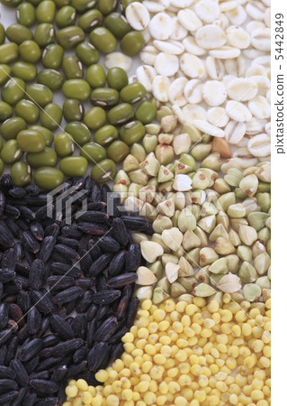 五粒米 五粒米 5442849