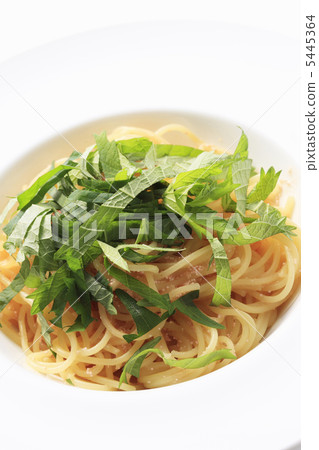 Takako意大利麵條 5445364