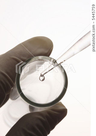 Experiment image 5445759