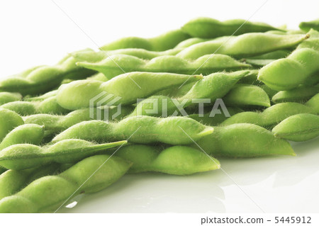 毛豆 5445912