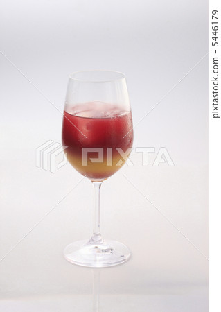 酒櫃 5446179