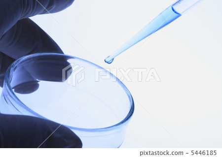 Petri dish and Spyid Petri dish and Spyid 5446185