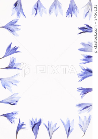 壓花鮮花(藍色) 壓花鮮花(藍色) 5450133