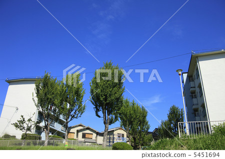 城市景觀 5451694