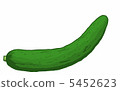 Cucumber 5452623