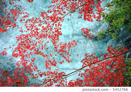 Red leaves valley 5452766