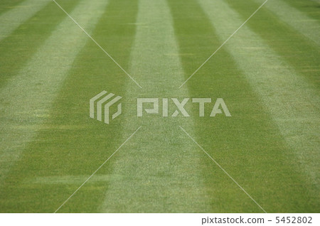 一個維護良好的草坪 一個維護良好的草坪 5452802