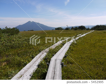 Oze Ayameairasu 5452995