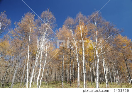 高峰高原 高峰高原 5453756