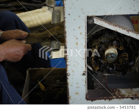 Stretch Rausu kombu Stretch Rausu kombu 5453781