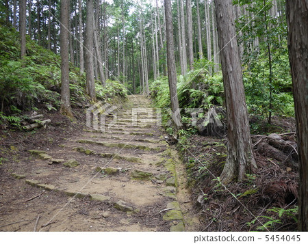 Kumano Kochi Naka-kaido Kumano Kochi Naka-kaido 5454045