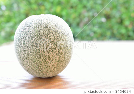 Melon cradle 5454624
