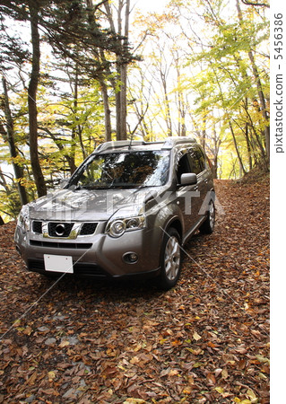 秋葉越野 5456386