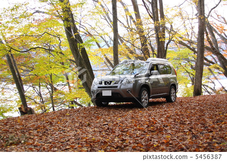 秋葉越野 5456387