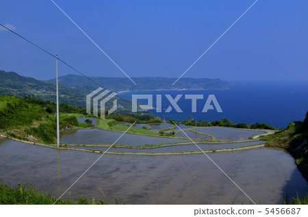 在山口肯東東部領域的美好的露台的米領域 在山口肯東東部領域的美好的露台的米領域 5456687